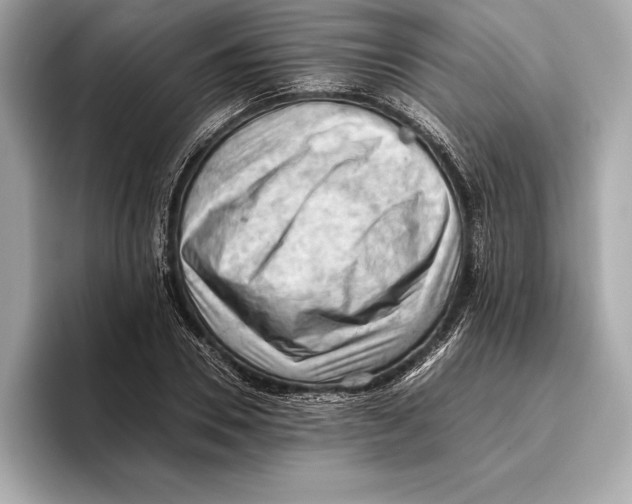 X0000096640930200802261254