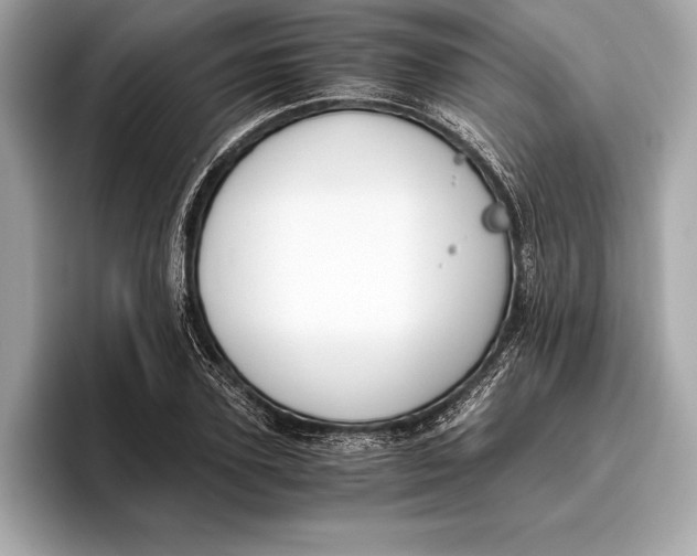 X0000096640931200802261255