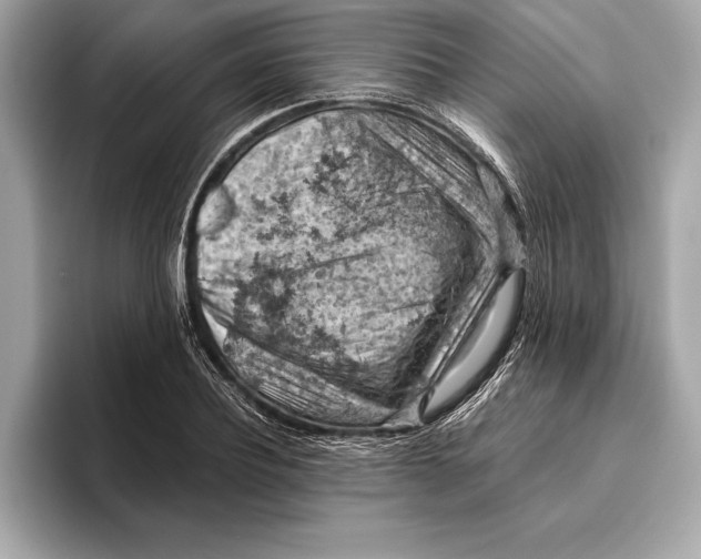 X0000096640932200802261255