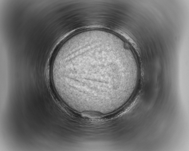 X0000096640933200802261255