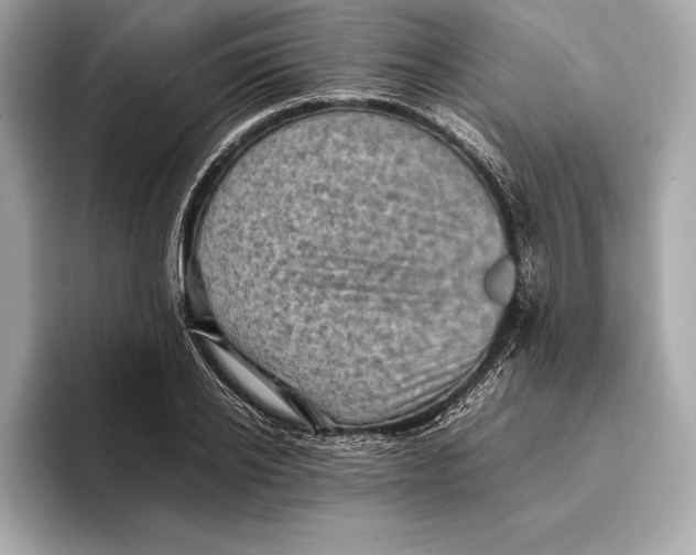 X0000096640934200802261255