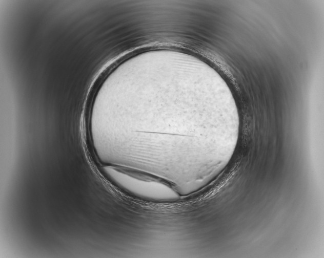 X0000096640936200802261255