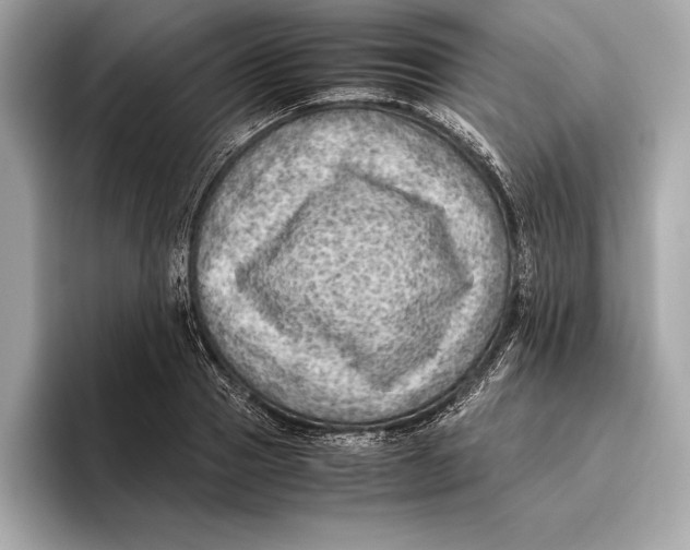 X0000096640937200802261255