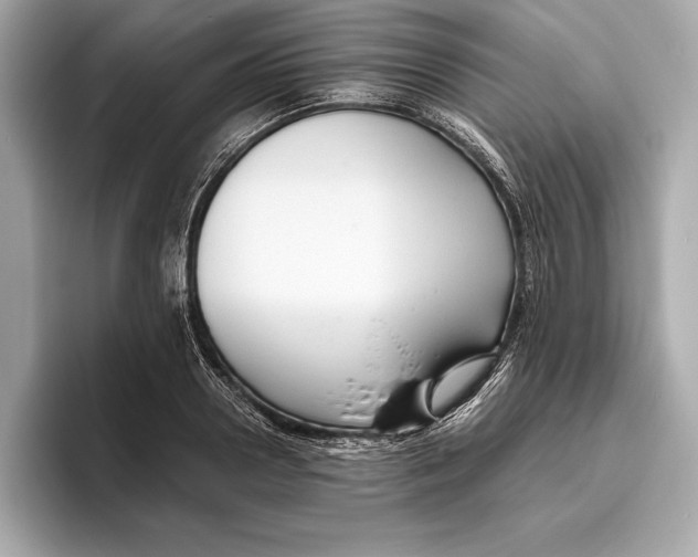 X0000096640938200802261255