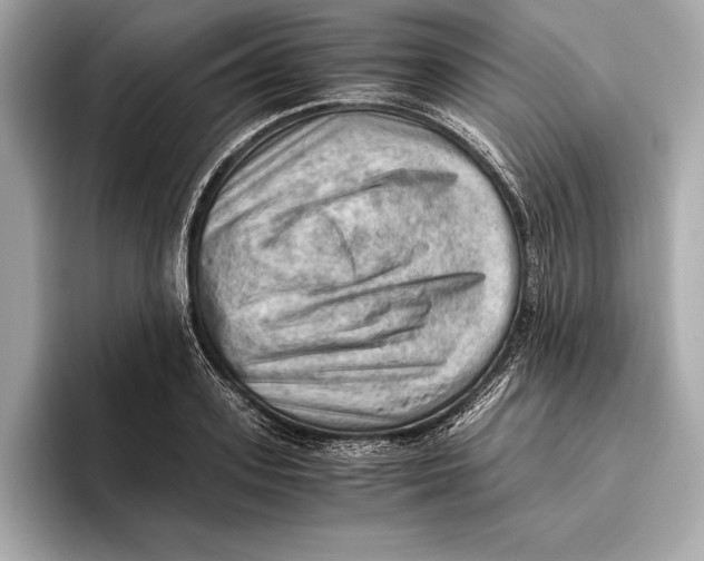 X0000096640939200802261255