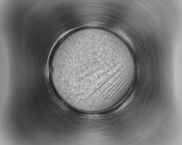 X0000096640940200802261255