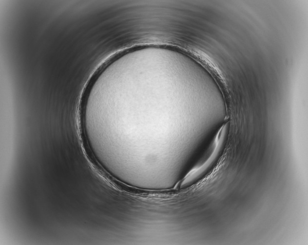 X0000096640942200802261255