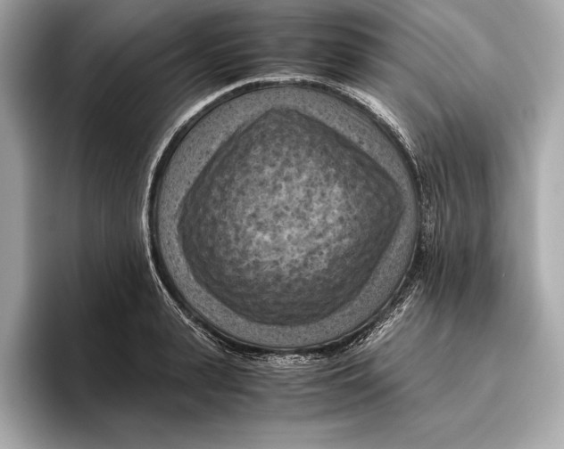 X0000096640943200802261255