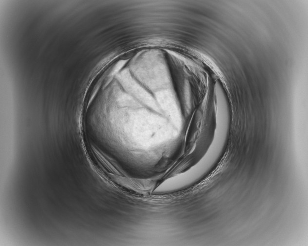 X0000096640946200802261255