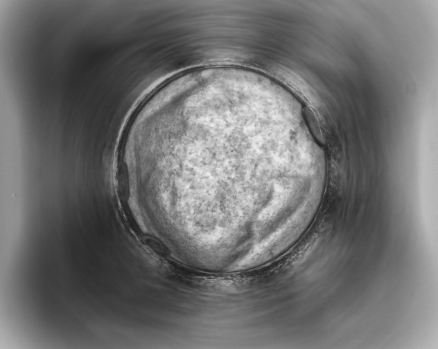 X0000096640948200802261255