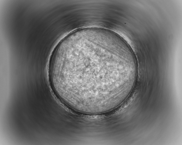 X0000096640949200802261255