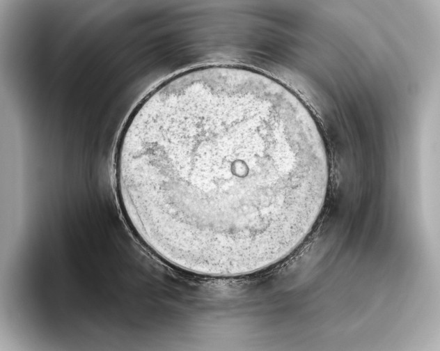 X0000096640950200802261255