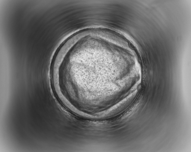 X0000096640951200802261255