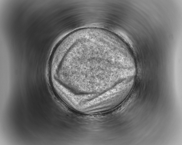 X0000096640952200802261255