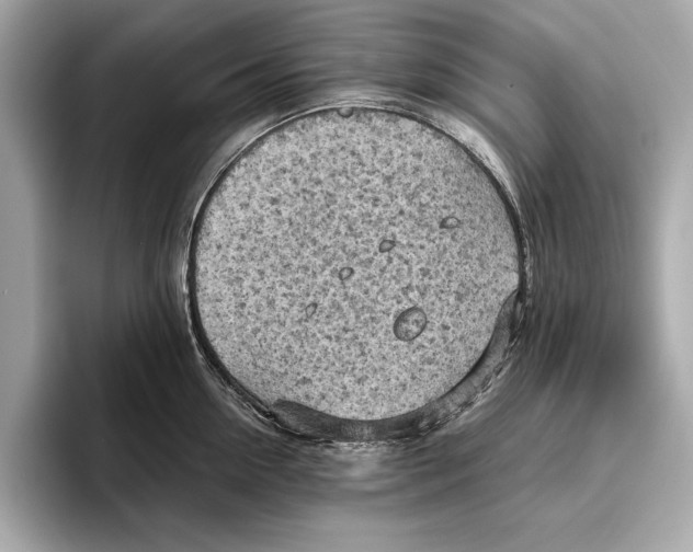 X0000096640954200802261255