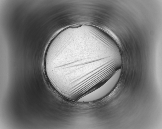 X0000096640956200802261255