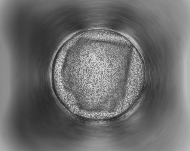 X0000096640957200802261255