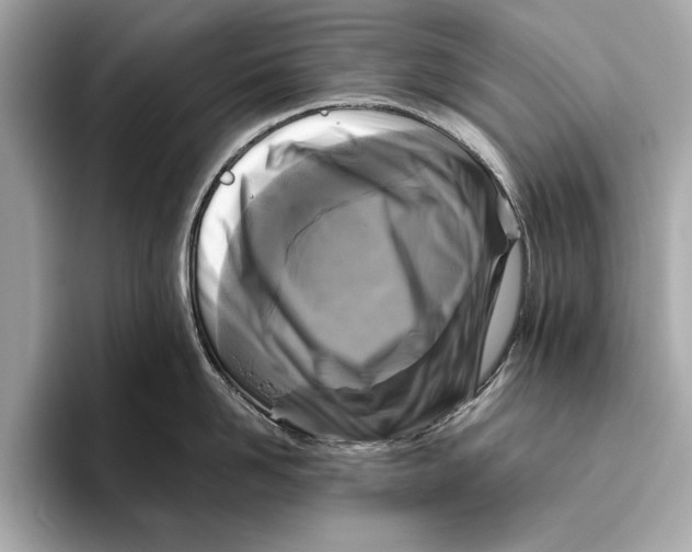 X0000096640958200802261255