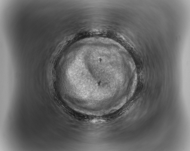 X0000096640961200802261254