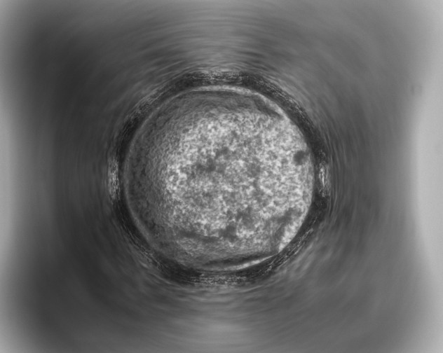 X0000096640963200802261254