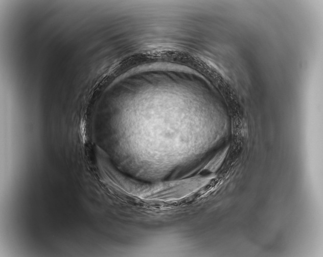 X0000096640965200802261254