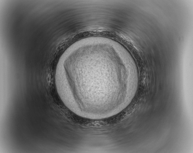 X0000096640966200802261254