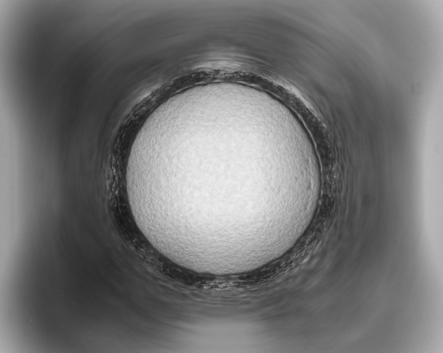 X0000096640967200802261254