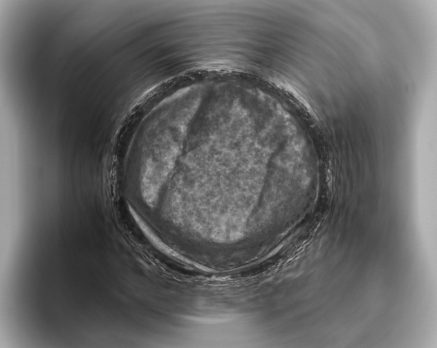 X0000096640968200802261254