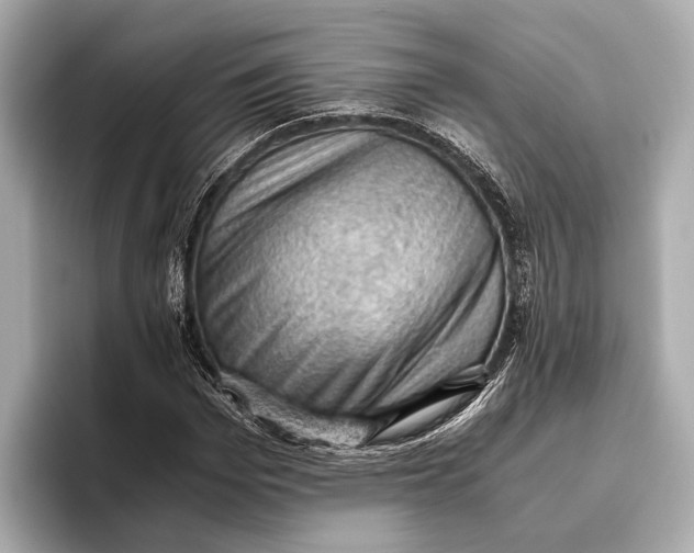 X0000096640969200802261254