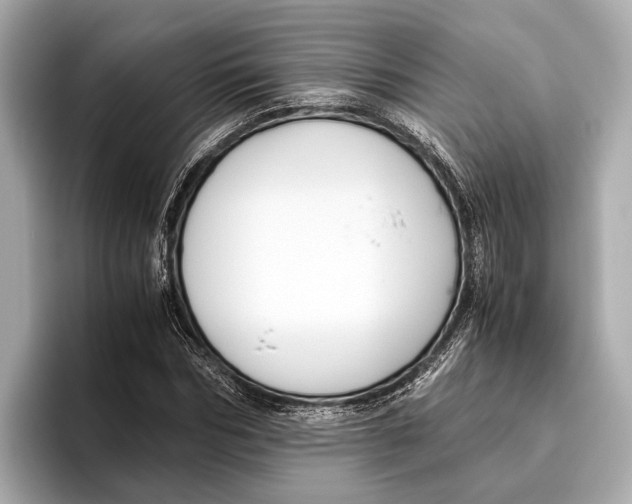 X0000096640970200802261254