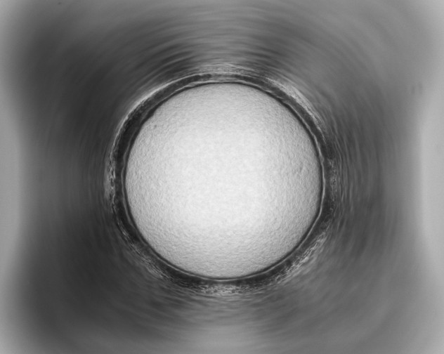 X0000096640971200802261254