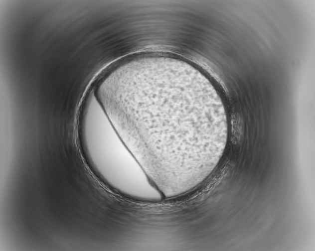 X0000096640972200802261254