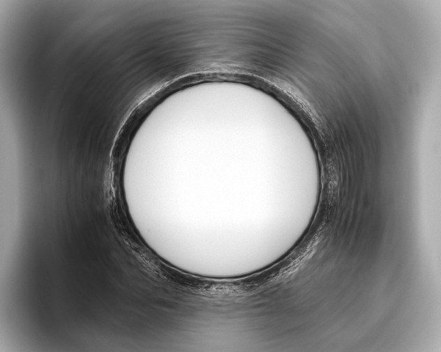 X0000096640974200802261254