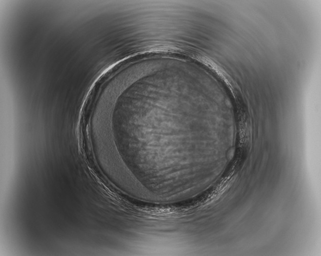 X0000096640975200802261254