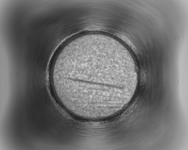 X0000096640976200802261254