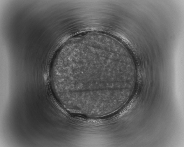 X0000096640977200802261254