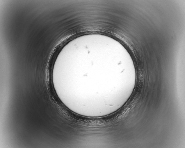 X0000096640979200802261254