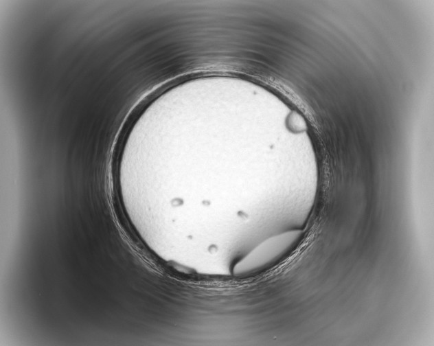 X0000096640980200802261254