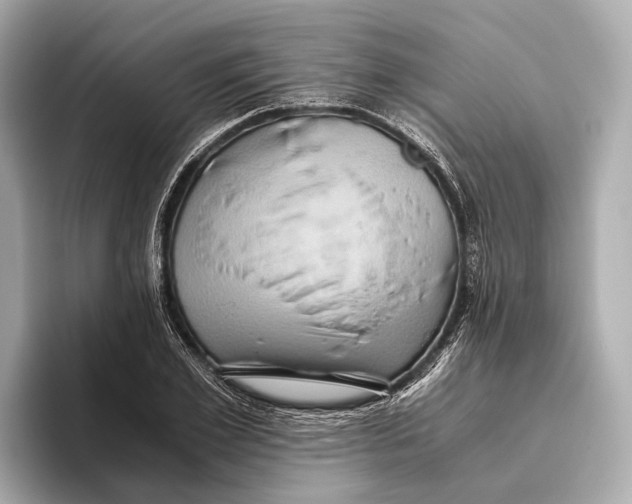 X0000096640981200802261254