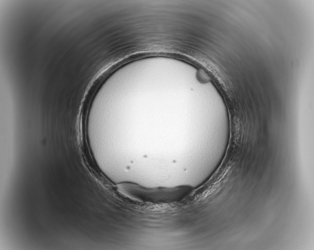 X0000096640982200802261254