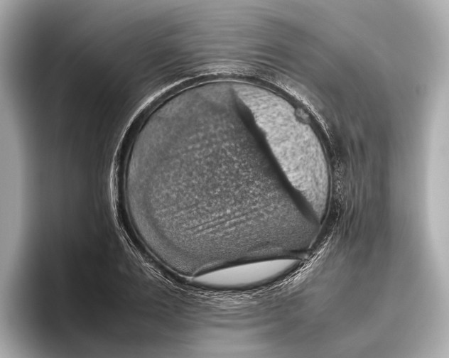 X0000096640983200802261254