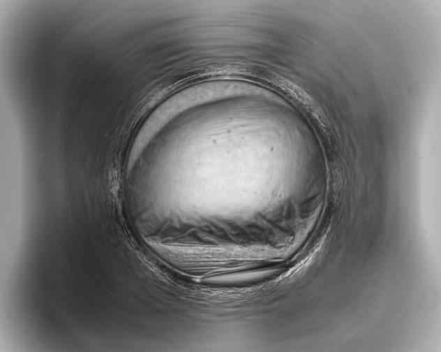 X0000096640985200802261254