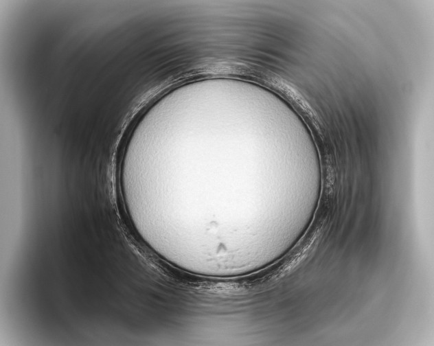 X0000096640986200802261254