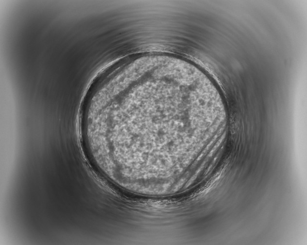 X0000096640987200802261254