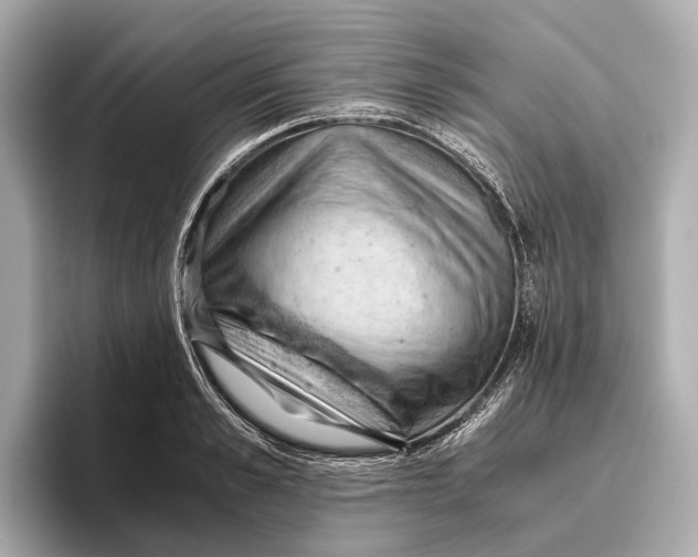 X0000096640989200802261254