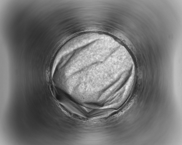 X0000096640993200802261254