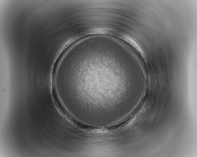 X0000096640994200802261254