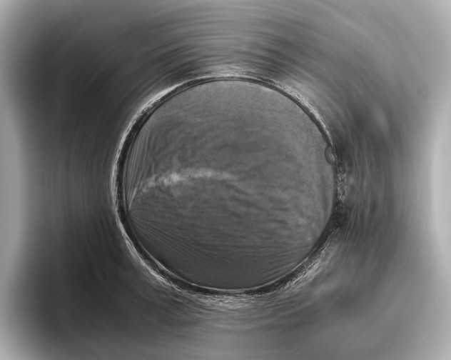 X0000096640995200802261254