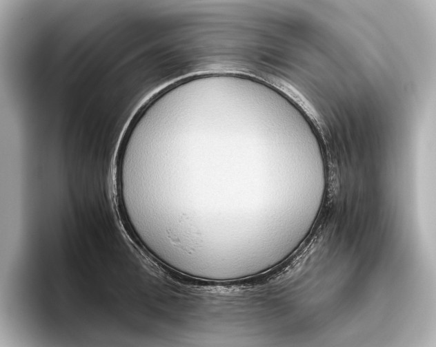 X0000096640996200802261254