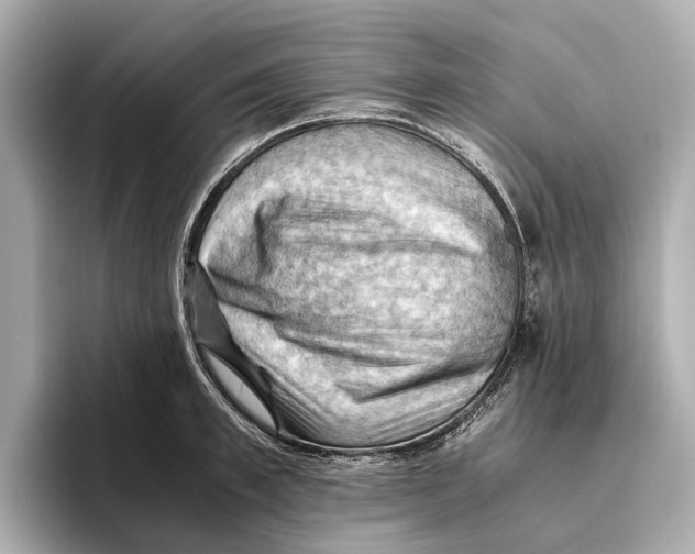 X0000096640997200802261254